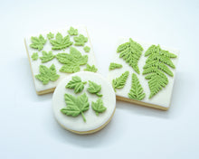 Load image into Gallery viewer, Leaf Silicon Mould - Ferns
